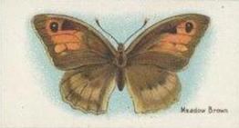 1925 William Gossage & Son Butterflies & Moths #8 Meadow Brown Butterfly Front