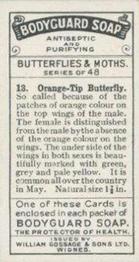 1925 William Gossage & Son Butterflies & Moths #13 Orange Tip Butterfly Back