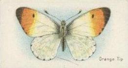 1925 William Gossage & Son Butterflies & Moths #13 Orange Tip Butterfly Front