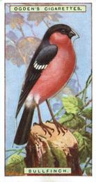 1923 Ogden’s British Birds (Cut Outs) #3 Bullfinch Front