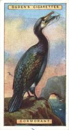 1923 Ogden’s British Birds (Cut Outs) #5 Cormorant Front