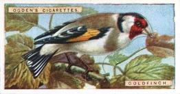 1923 Ogden’s British Birds (Cut Outs) #12 Goldfinch Front