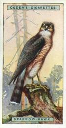 1923 Ogden’s British Birds (Cut Outs) #16 Sparrow Hawk Front