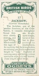 1923 Ogden’s British Birds (Cut Outs) #17 Jackdaw Back