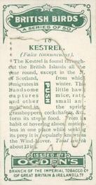 1923 Ogden’s British Birds (Cut Outs) #18 Kestrel Back