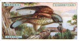 1923 Ogden’s British Birds (Cut Outs) #18 Kestrel Front