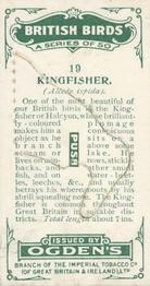 1923 Ogden’s British Birds (Cut Outs) #19 Kingfisher Back
