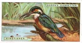 1923 Ogden’s British Birds (Cut Outs) #19 Kingfisher Front