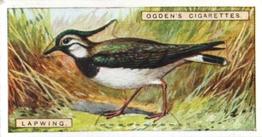 1923 Ogden’s British Birds (Cut Outs) #20 Lapwing Front