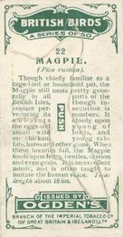 1923 Ogden’s British Birds (Cut Outs) #22 Magpie Back