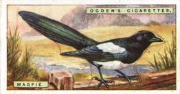1923 Ogden’s British Birds (Cut Outs) #22 Magpie Front