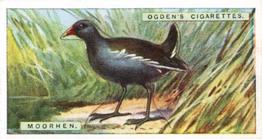 1923 Ogden’s British Birds (Cut Outs) #23 Moorhen Front
