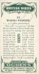 1923 Ogden’s British Birds (Cut Outs) #28 Wood-Pigeon Back