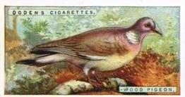1923 Ogden’s British Birds (Cut Outs) #28 Wood-Pigeon Front