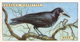 1923 Ogden’s British Birds (Cut Outs) #33 Rook Front