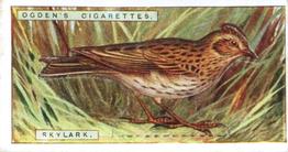 1923 Ogden’s British Birds (Cut Outs) #36 Skylark Front