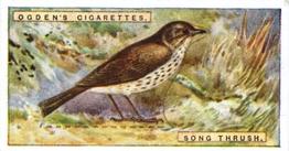 1923 Ogden’s British Birds (Cut Outs) #43 Song-Thrush Front