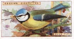 1923 Ogden’s British Birds (Cut Outs) #44 Blue Tit Front
