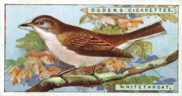 1923 Ogden’s British Birds (Cut Outs) #47 Whitethroat Front