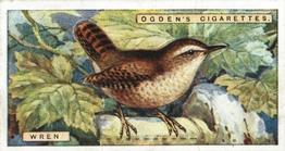 1923 Ogden’s British Birds (Cut Outs) #49 Wren Front