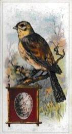 1912 Fry's Birds & Their Eggs #16 The Yellowhammer Front