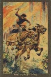 1922 D.C. Thomson Adventure Pictures Series 3 #NNO The Forest Fire Front