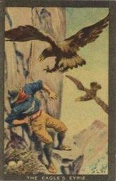 1922 D.C. Thomson Adventure Pictures Series 3 #NNO The Eagle's Eyrie Front