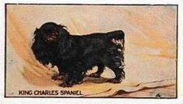 1924 Sanders Bros. Dogs #9 King Charles Spaniel Front