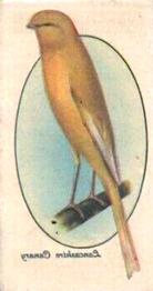 1933 Player's Aviary and Cage Birds - Transfers #12 Lancashire Canary (Coppy) Front