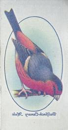 1933 Player's Aviary and Cage Birds - Transfers #15 Bullfinch-Canary Mule (dark) Front