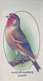 1933 Player's Aviary and Cage Birds - Transfers #18 Goldfinch-Bullfinch Hybrid Front