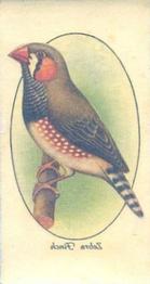 1933 Player's Aviary and Cage Birds - Transfers #34 Zebra Finch Front