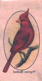 1933 Player's Aviary and Cage Birds - Transfers #41 Virginian Cardinal Front