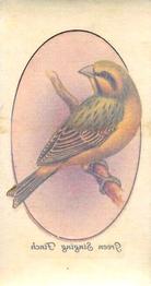 1933 Player's Aviary and Cage Birds - Transfers #45 Green Singing Finch Front