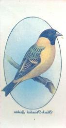 1933 Player's Aviary and Cage Birds - Transfers #46 Black-Headed Siskin Front