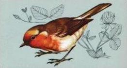 1975 Tetley Tea British Birds #2 Robin Front