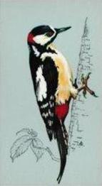 1975 Tetley Tea British Birds #27 Great Spotted Woodpecker Front