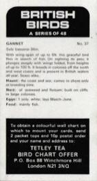 1975 Tetley Tea British Birds #37 Gannet Back