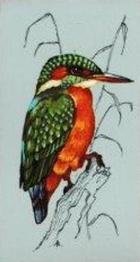 1975 Tetley Tea British Birds #41 Kingfisher Front