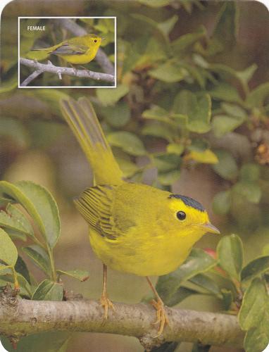 2020 Backyard Birds Eastern & Central North America #NNO Wilson's Warbler Front