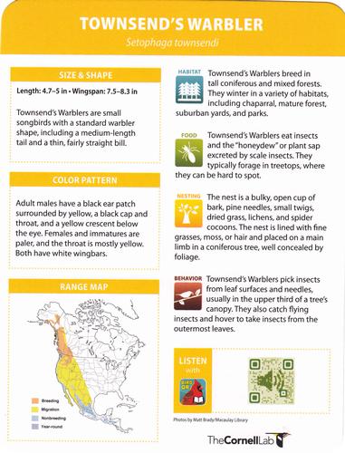 2020 Backyard Birds of Western North America #31 Townsend's Warbler Back