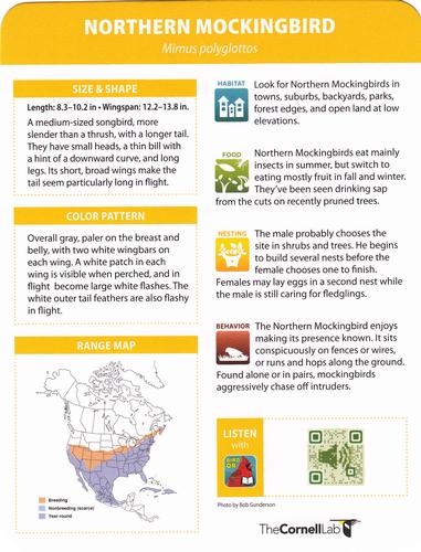 2020 Backyard Birds of Western North America #82 Northern Mockingbird Back