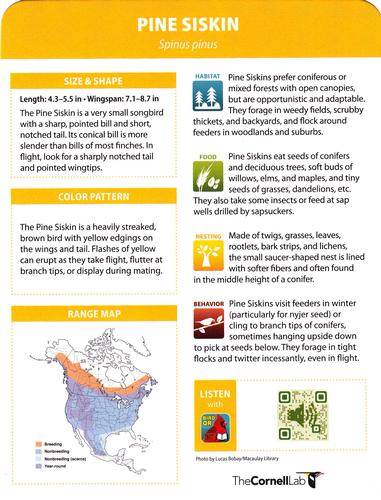 2020 Backyard Birds of Western North America #106 Pine Siskin Back