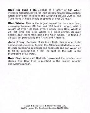 1971 T. Wall & Sons Sea Creatures #NNO Blue Fin Tuna Fish / Blue Whale / John Dorey / Boar Fish Back