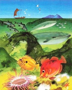 1971 T. Wall & Sons Sea Creatures #NNO Blue Fin Tuna Fish / Blue Whale / John Dorey / Boar Fish Front