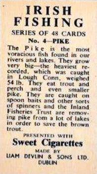 1962 Sweet Cigarettes Irish Fishing #4 Pike Back