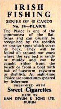 1962 Sweet Cigarettes Irish Fishing #24 Plaice Back
