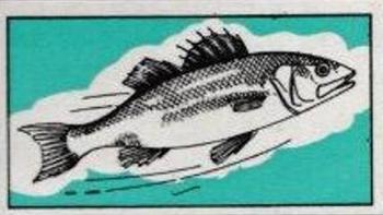 1962 Sweet Cigarettes Irish Fishing #26 Bass Front