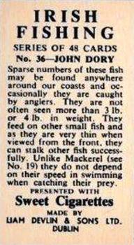 1962 Sweet Cigarettes Irish Fishing #36 John Dory Back