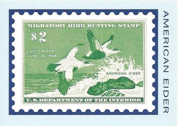 1992-94 Bon Air Federal Duck Stamps #RW24 American Eider Front